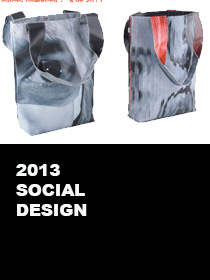 2013 SOCIAL DESIGN